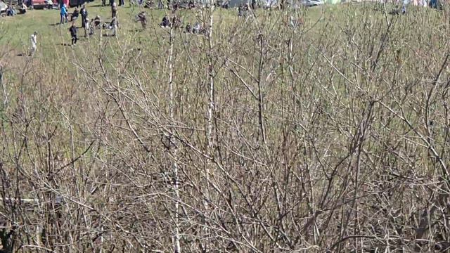 Унимог 404 ФЕСТ Алтай смотреть онлайн