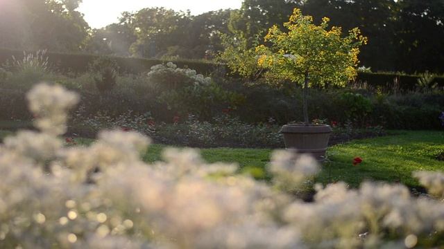 video shootout with the Nikon D5200 & Nikkor 50mm 1.8G смотреть онлайн