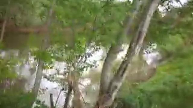 P1000580 смотреть онлайн