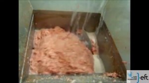 KOLBE (Колбе) порционирование фарша MWE52+PM150.mp4