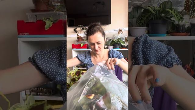 Распаковка новых цветочков.