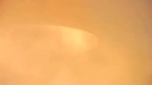 Дымовая шашка от клопов