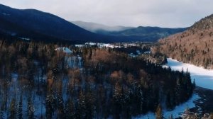 С ТЕЩЕЙ НА ДАЧЕ... ИСТОРИЯ ИЗ ЖИЗНИ. Теща и зять. История с тещей и зятем. Интересные истории.