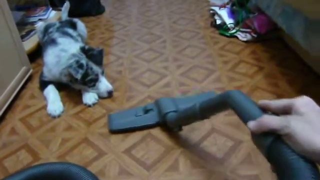 Иса - игры с пылесосом смотреть онлайн