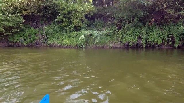 ОДИНОЧНЫЙ СПЛАВ по Жиздре || Часть 2. смотреть онлайн