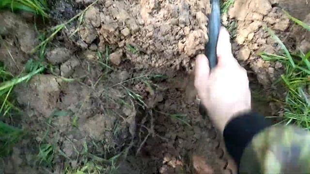 Вознаграждения за долгий поход или как Витя и Валера в лес ходили.