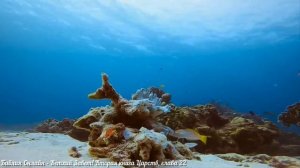 Библия Онлайн - Вторая книга Царств, глава 22