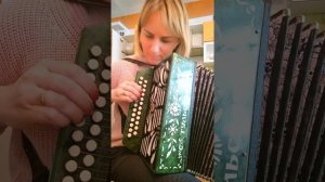 Бесамемучо на гармони!