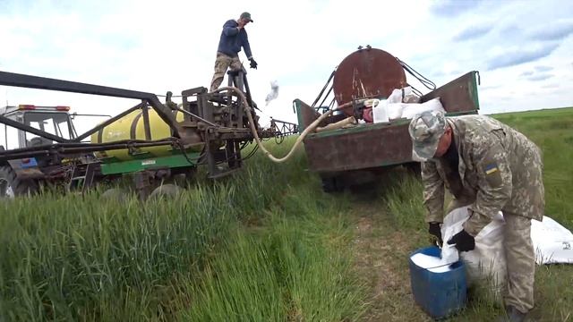 Брызгаем инсектицидом по пшенице! 2020 г.