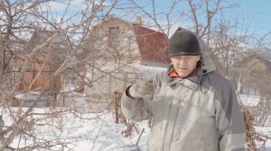 Как обрезать деревья? ОБРЕЗКА ДЕРЕВЬЕВ Как проводить обрезку плодовых деревьев?