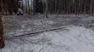 Трактор Т40 на колесах от комбайна валит что дурной.Заготовка леса на болоте зимой.