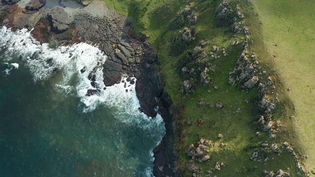 После свадьбы стали жить с родителями супруга. Свекровь придирается ко мне по любому поводу, а муж смотреть онлайн