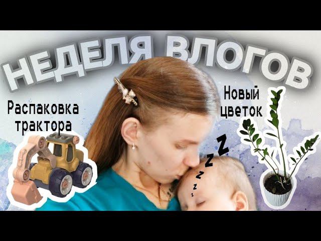 Будни мамы /  к деньгам? / Трактор для малышей и взрослых с Али / Новый житель нашей квартиры