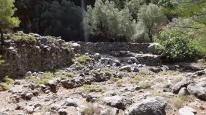 Samaria Gorge Day Trip