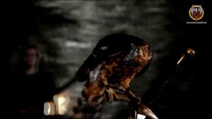 Vader - Sword Of The Witcher (Full HD 1080p) - Русский перевод в субтитрах