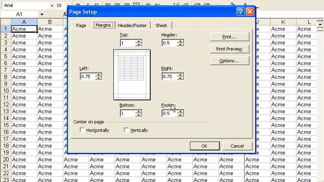 How to Use File Menu and Page Setup in Excel 2003 смотреть онлайн