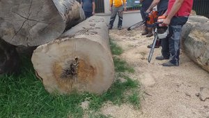 stihl ms 880 vs husqvarna 3120 xp