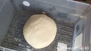 Универсальное дрожжевое тесто, без яиц и молока, супер пышное. Лепка пирожков и приготовление.