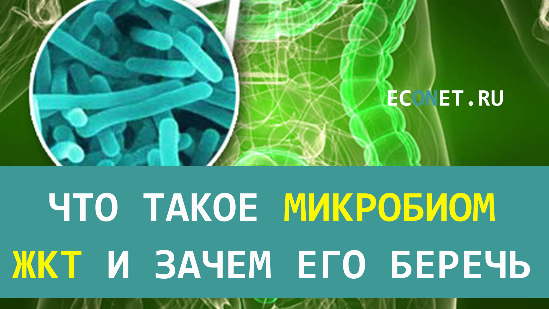 Анализ на микробиом. Микробиом человека. Микробиом кишечника. Микробиом ребенка. Микробиом природы это.