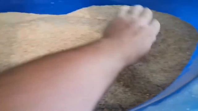 Годівля поросят, від 2 до 3 місяців, від 25 до 45 кг. Корма смотреть онлайн