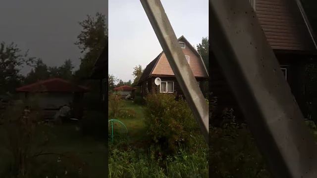Небольшая прогулка по садоводству.
