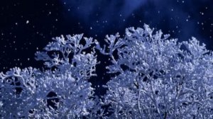 Николай Рубцов "В этой деревне огни не погашены". Кавер. Исполняет Алексей Маркин.