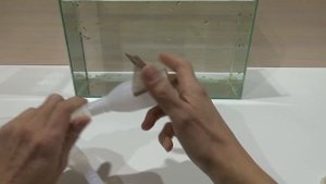 Меняем воду у мальков - полезные мелочи