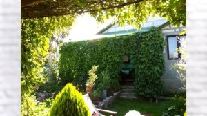 Как на 5 сотках можно сделать зону отдыха с бассейном и барбекю!  Дача белоруса удивила весь мир