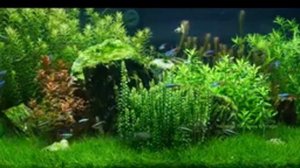 11 часов расслабляющей музыки для сна, снятия стресса, от бессонницы, успокаивающая , для релакса.