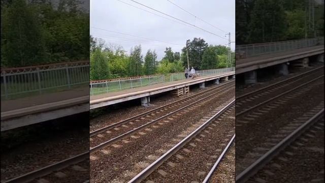 Открытие рыболовного сезона. Подмосковье. смотреть онлайн