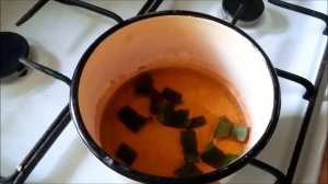 Бьюти-экономика №1: тоник из алоэ в домашних условиях