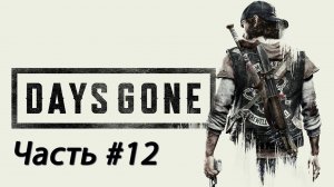 Days Gone #12