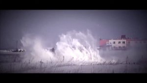 Курицы Ответ Мерседесу  Прикольная реклама Ниссан