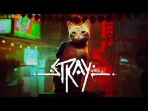 Stray в Гималаях (часть 3 финал)