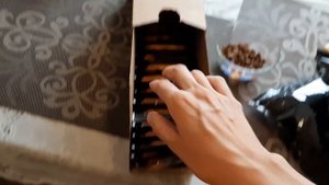 Про питание русского тоя. Что ест той терьер?