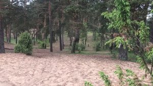 Дерзкий япошка Honda CR125R!!!