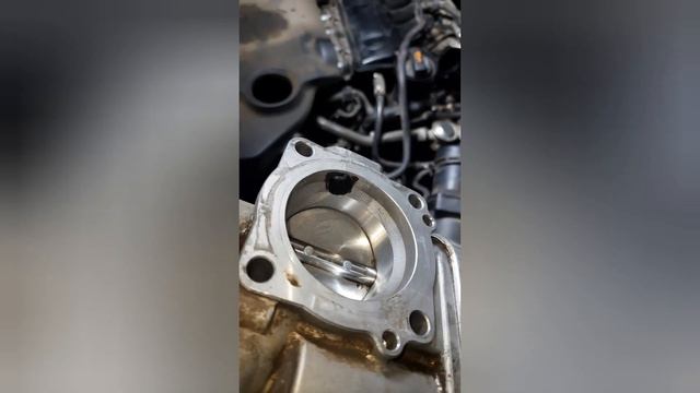 Шкода октавия тур 1.6 подергивание при движение при ослабления педаль газа . Ошибки P 1443; P 1403 смотреть онлайн