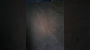 Ангар(хранилище зерна) своими руками 170 квадратных метров. Бюджетный склад на 200 тонн.