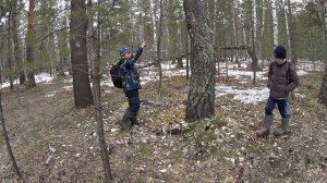 Весна в лесу