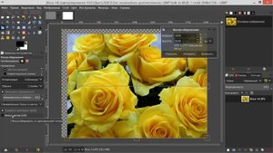 17. Gimp. Шаг за шагом. Масштаб.