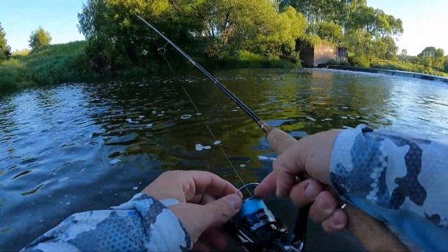 Обзор Abu Garcia Eradicator Real Finesse Prototype ERFS-46Pro-ST Navigator - Первая рыбалка