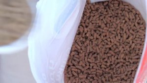 Клубника на миллион! Высадка и подкормка клубники. Марина Рыкалина советует.