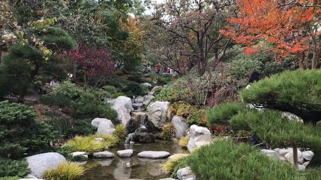 Japanese Friendship Garden | San Diego Review смотреть онлайн