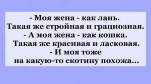 Небольшой сборник анекдотов про колодец, ведро воды, про деда и его достоинство!