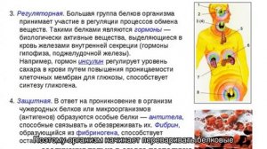 Функции белков