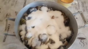 ◄ Варенье из сливы "Венгерка"   •   Jam from the "Hungarian" plum ►