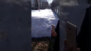 Незнание закона не освобождает от ответственности