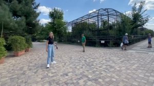 Хейтеры ХОРОНИЛИ этого льва много раз, но от него снова РОДИЛИСЬ ЛЬВЯТА у мариупольской львицы!