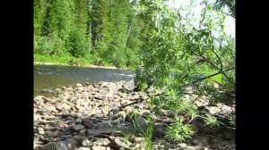 Крупный хариус на блесну рыбалка на живописной таежной реке