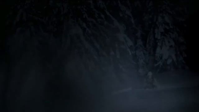 Волки лучше некоторых людей смотреть онлайн